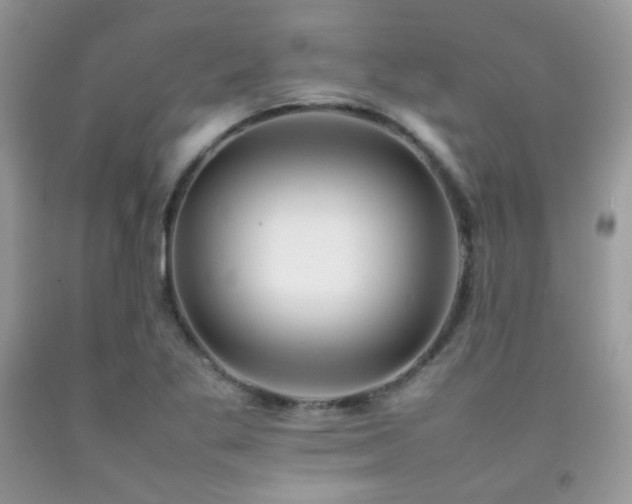 X0000092251269200709141141