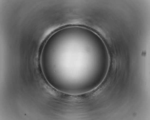 X0000092251270200709141141