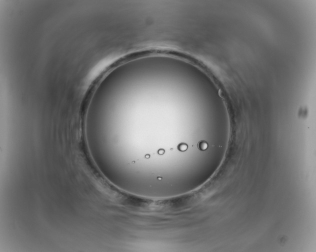 X0000092251271200709141141