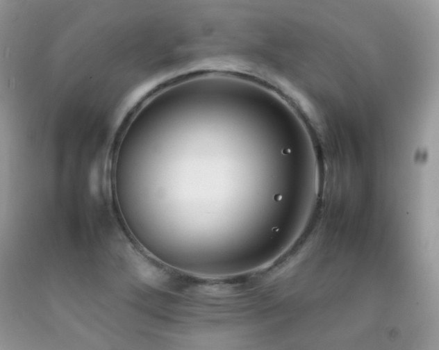 X0000092251272200709141141
