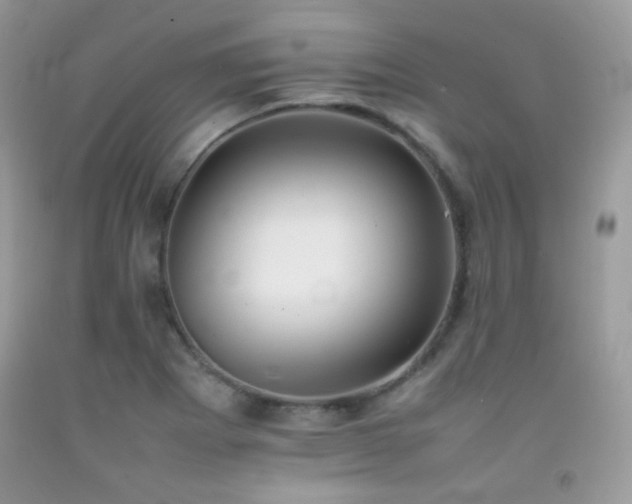 X0000092251273200709141141