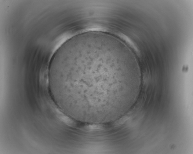 X0000092251274200709141141