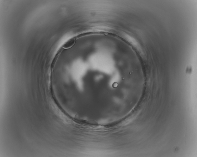 X0000092251275200709141141