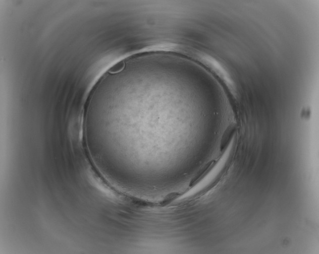 X0000092251276200709141141