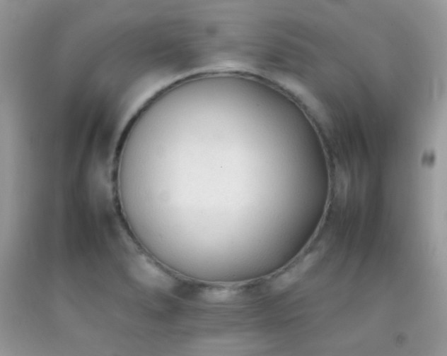 X0000092251278200709141141