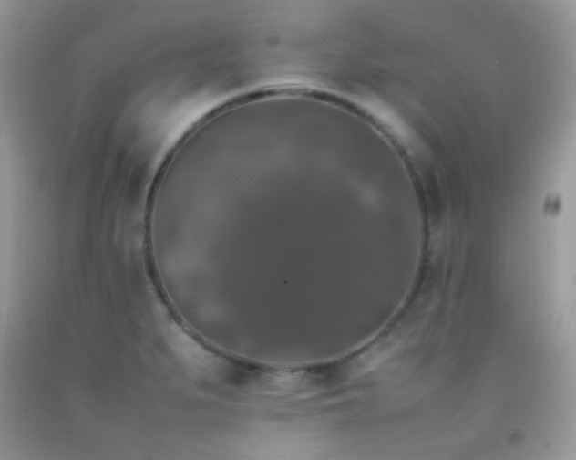 X0000092251279200709141141