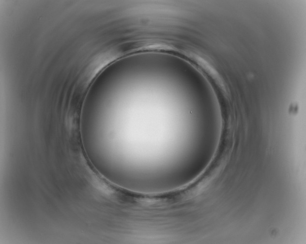 X0000092251281200709141140