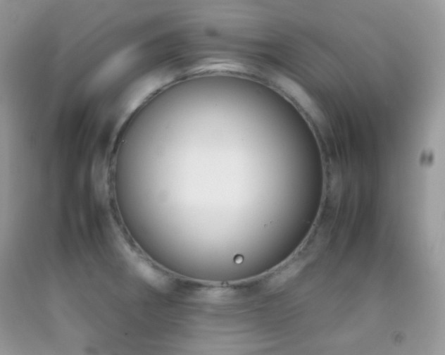 X0000092251282200709141140