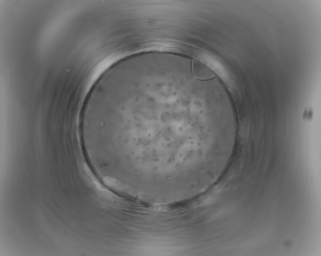 X0000092251283200709141140