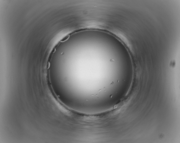 X0000092251285200709141140