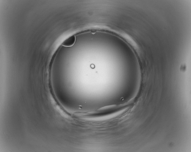X0000092251287200709141140