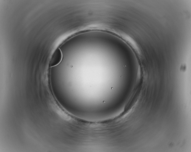 X0000092251288200709141140