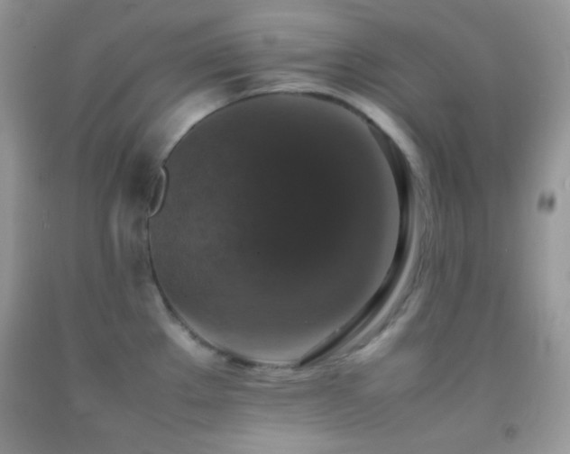 X0000092251289200709141140