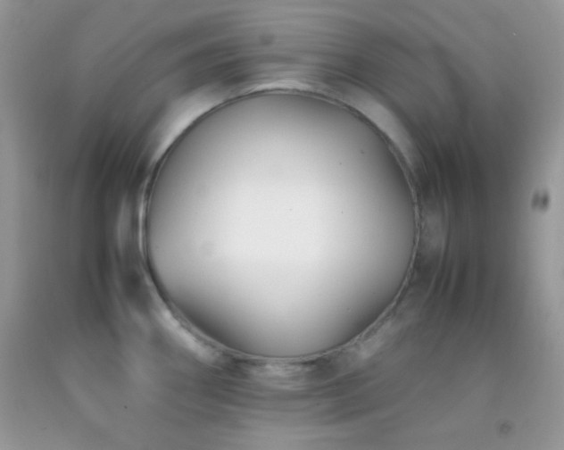 X0000092251290200709141140