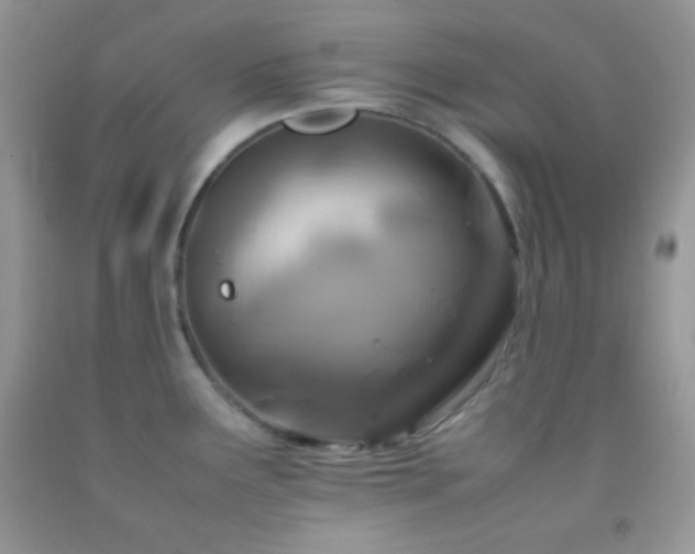 X0000092251291200709141140