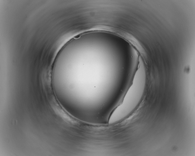 X0000092251292200709141140