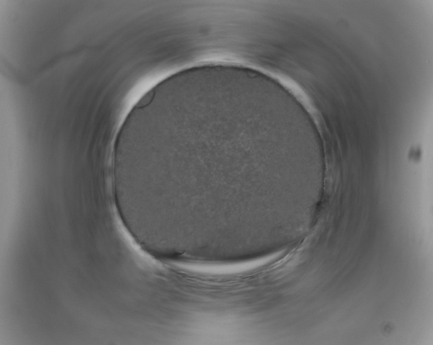 X0000092251295200709141140