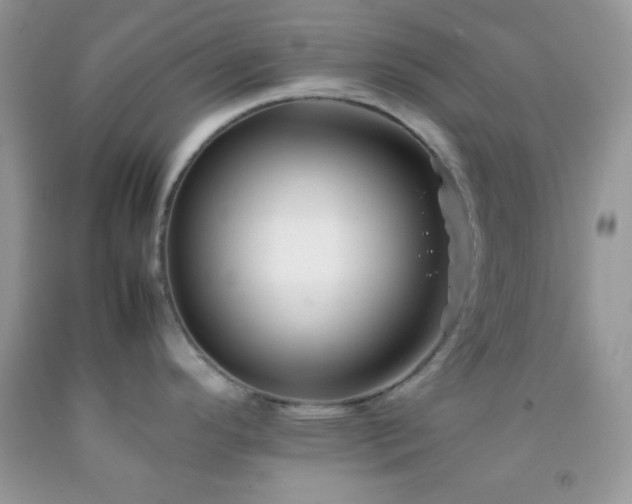 X0000092251296200709141140