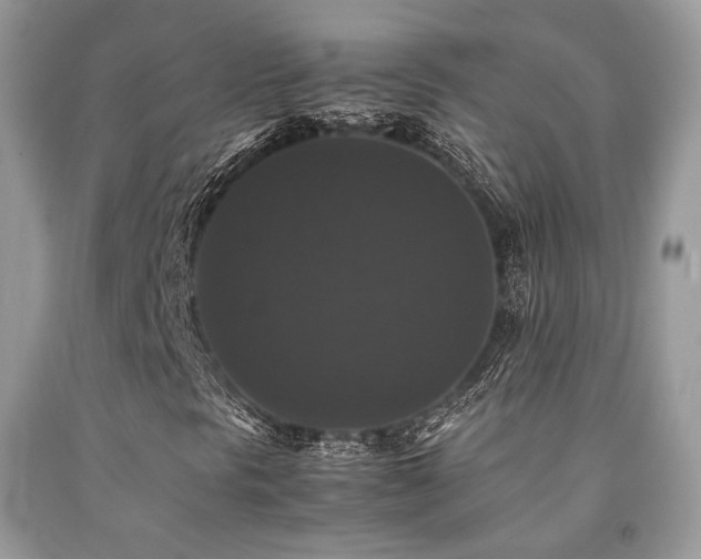X0000092251297200709141140