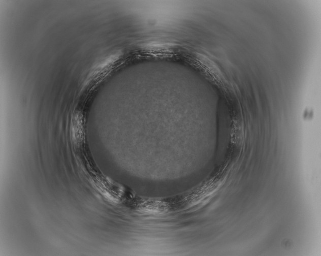X0000092251298200709141140