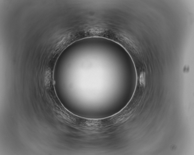 X0000092251299200709141140