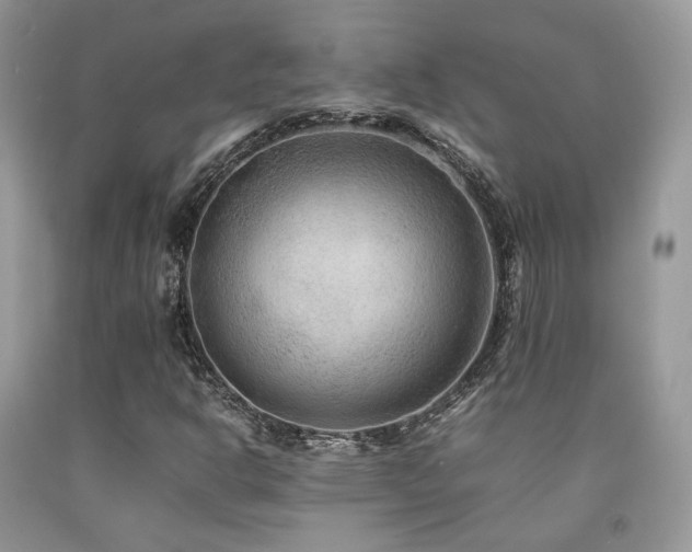 X0000092251302200709141140