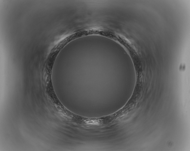 X0000092251303200709141140