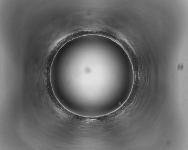 X0000092251304200709141140
