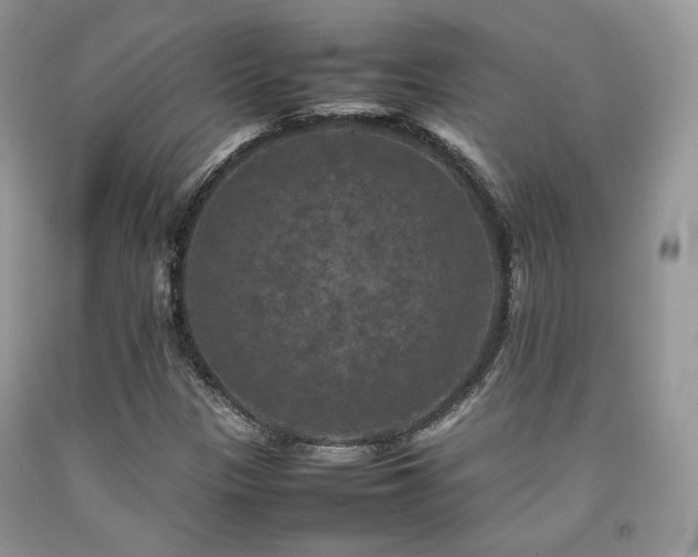 X0000092251305200709141140