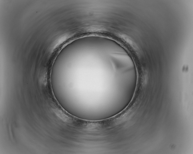 X0000092251306200709141140