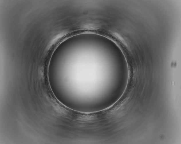 X0000092251307200709141140