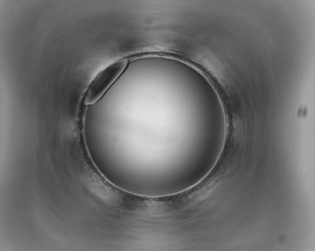 X0000092251308200709141140