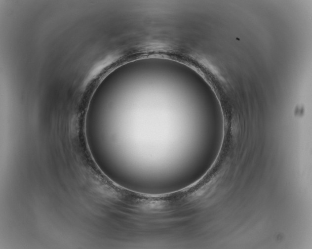 X0000092251309200709141140