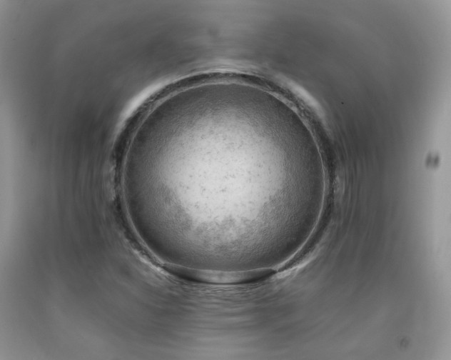 X0000092251310200709141140