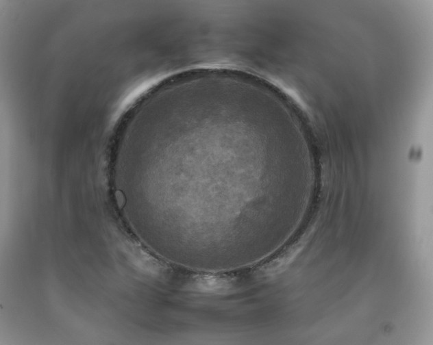 X0000092251311200709141140