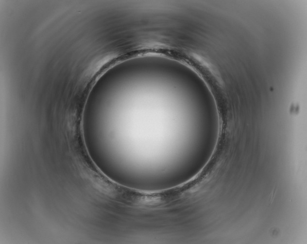 X0000092251313200709141140