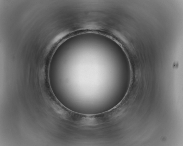 X0000092251315200709141140