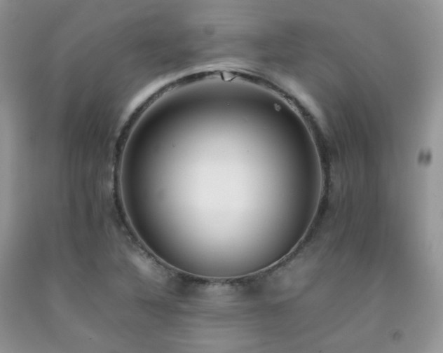 X0000092251316200709141140