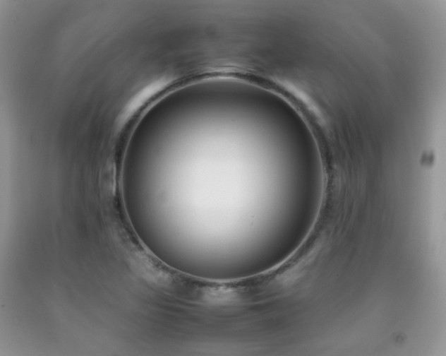 X0000092251317200709141140