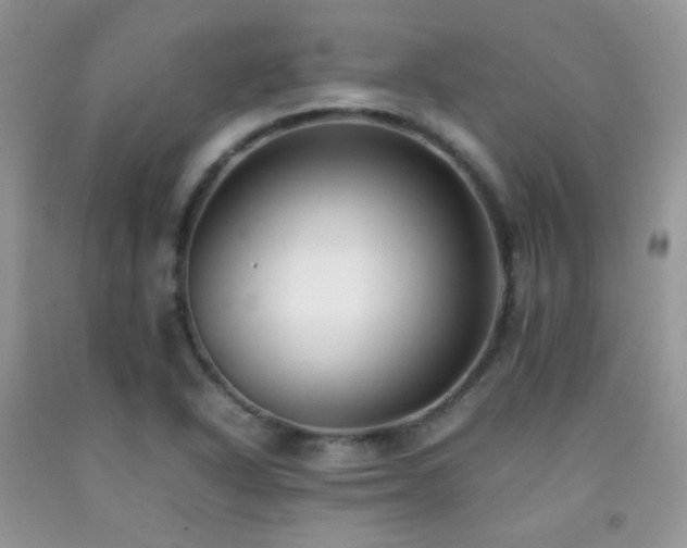 X0000092251318200709141140