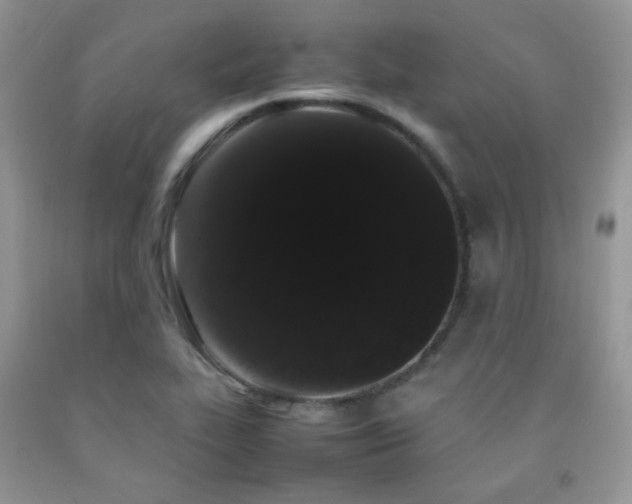 X0000092251319200709141140