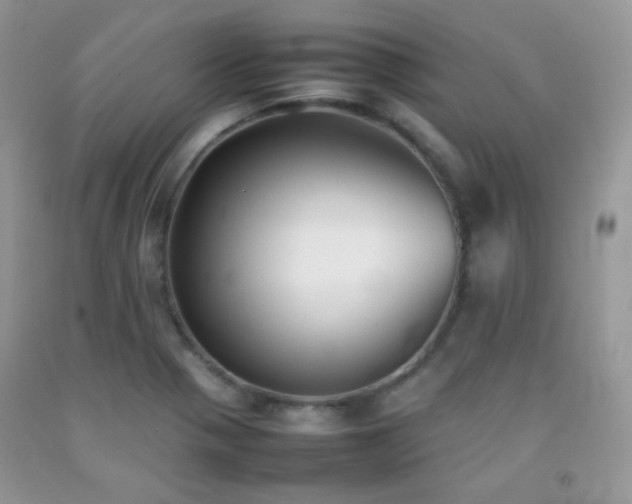 X0000092251321200709141140