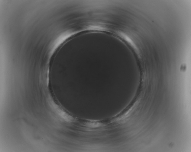 X0000092251323200709141140