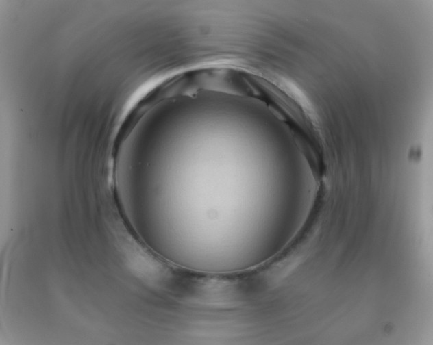 X0000092251324200709141140