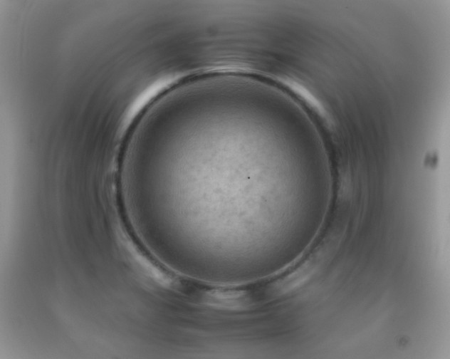X0000092251325200709141140