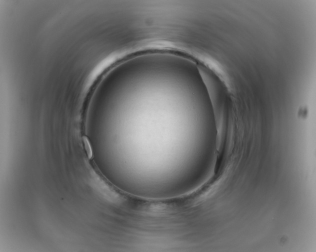 X0000092251326200709141140