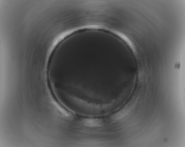 X0000092251327200709141140