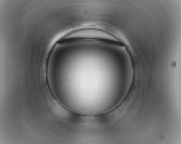 X0000092251328200709141140
