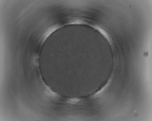 X0000092251329200709141140