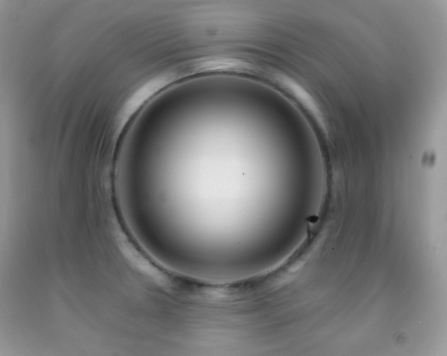 X0000092251330200709141140